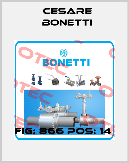 Fig: 866 Pos: 14  Cesare Bonetti