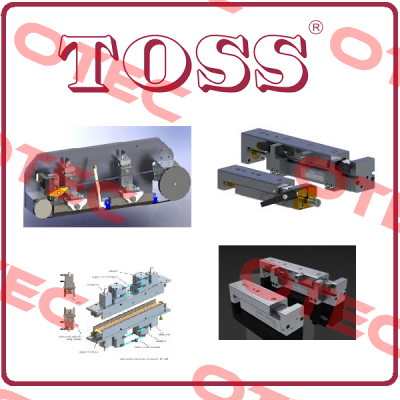 231339  TOSS