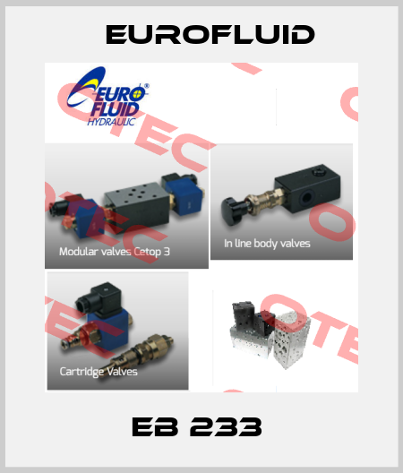 EB 233  Eurofluid