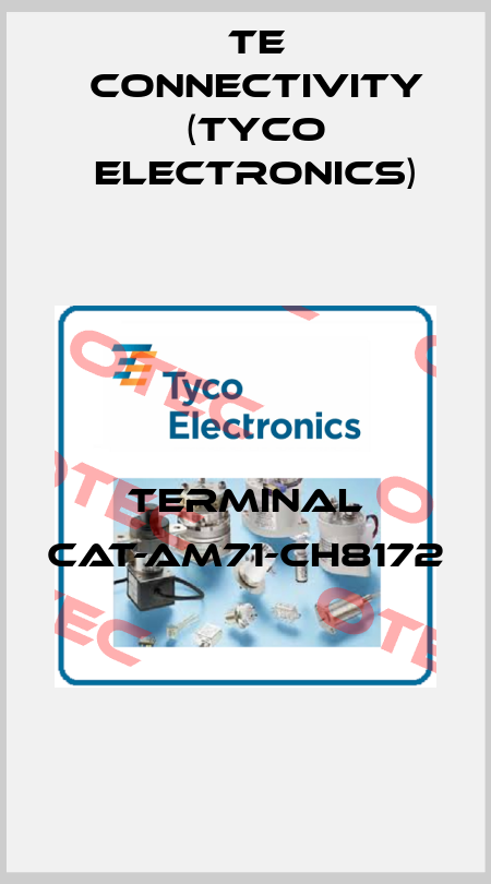 terminal CAT-AM71-CH8172  TE Connectivity (Tyco Electronics)