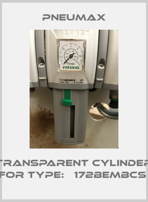 Transparent Cylinder For Type: Т172BEMBCS -big