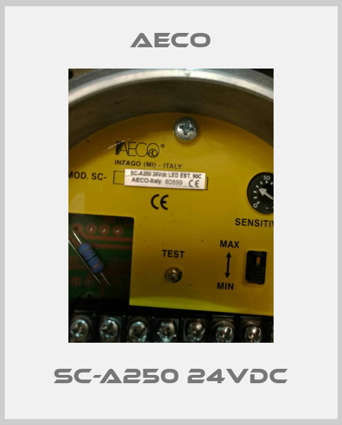 SC-A250 24VDC-big