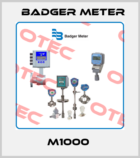 M1000  Badger Meter