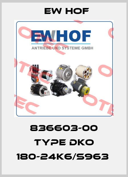 836603-00 Type DKO 180-24K6/S963  Ew Hof