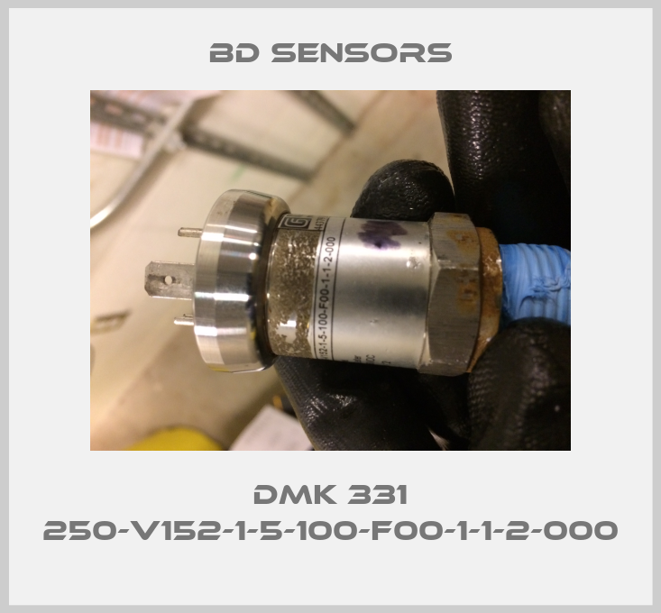 DMK 331 250-V152-1-5-100-F00-1-1-2-000-big