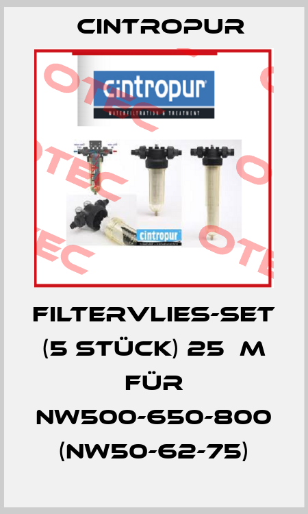 Filtervlies-Set (5 Stück) 25µm für NW500-650-800 (NW50-62-75) Cintropur