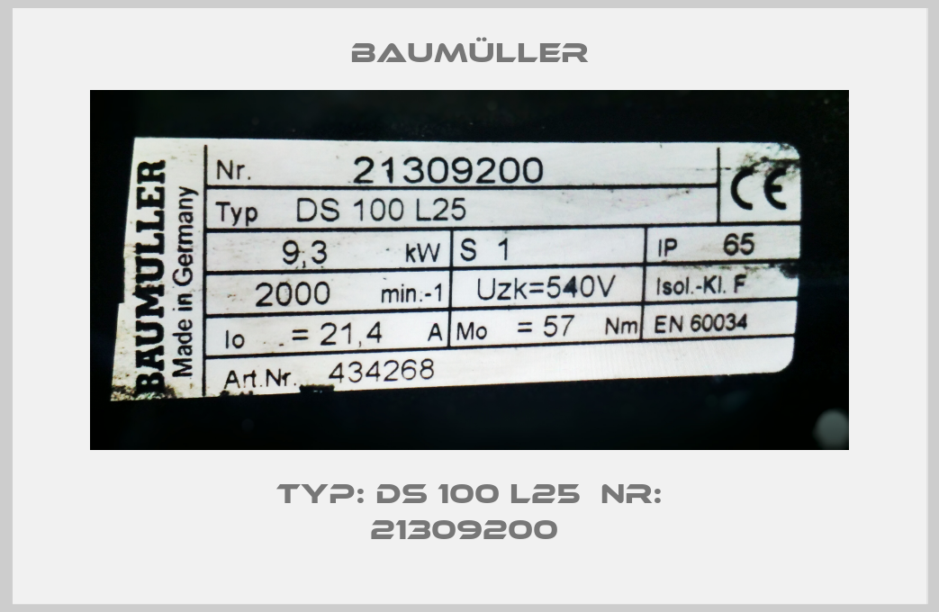 Typ: DS 100 L25  Nr: 21309200 -big