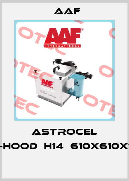 ASTROCEL TM-HOOD	H14	610X610X125  AAF