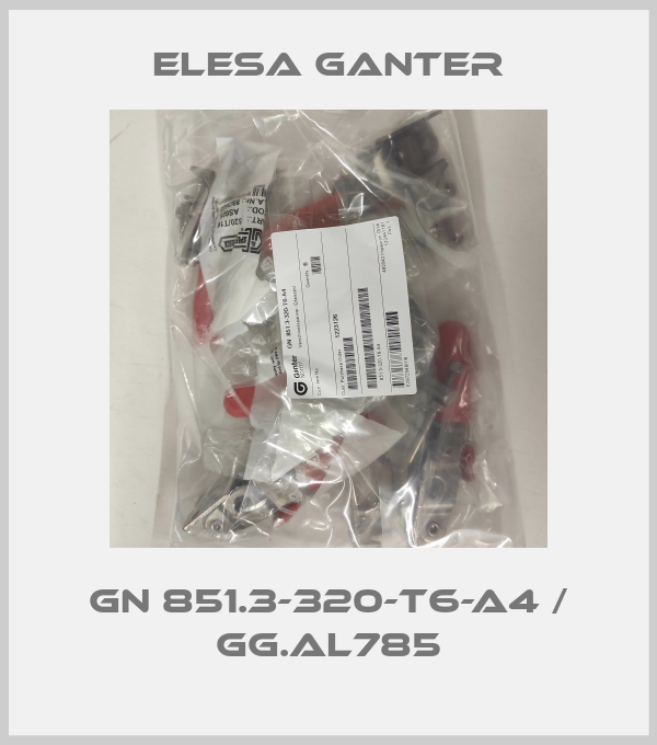 GN 851.3-320-T6-A4 / GG.AL785-big
