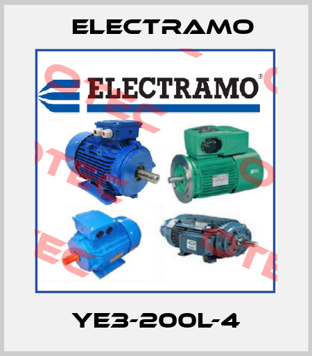 YE3-200L-4 Electramo