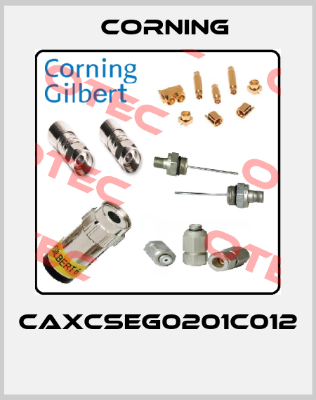 CAXCSEG0201C012   Corning