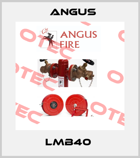 LMB40  Angus