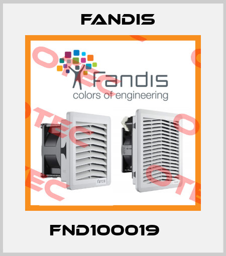 FND100019    Fandis