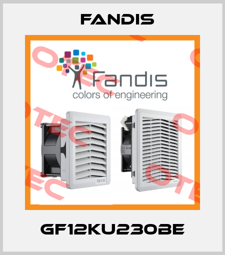 GF12KU230BE Fandis