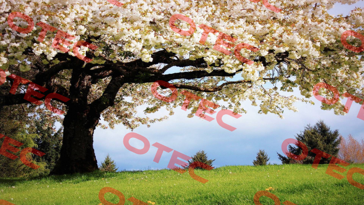 Test-deneme product.95 De-Test DENEME