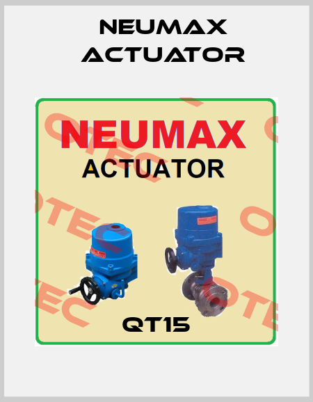 QT15 Neumax Actuator