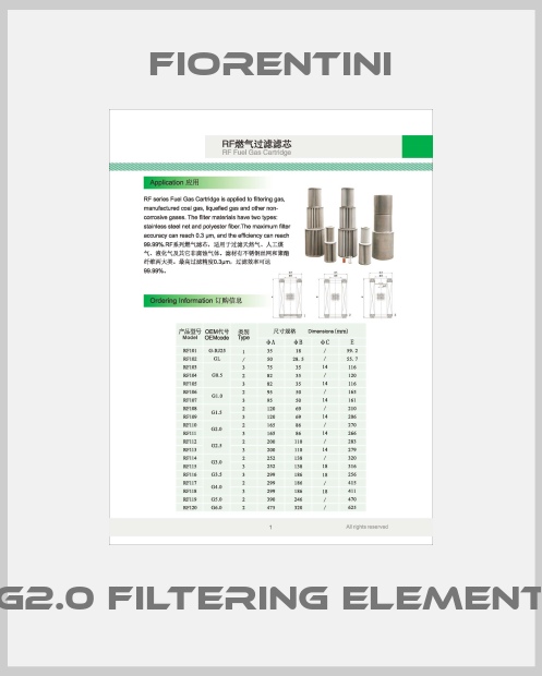 G2.0 Filtering Element-big
