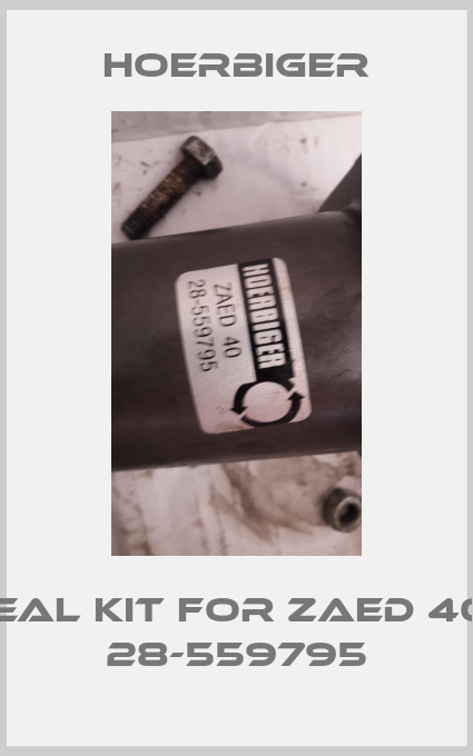 seal kit for ZAED 40   28-559795-big
