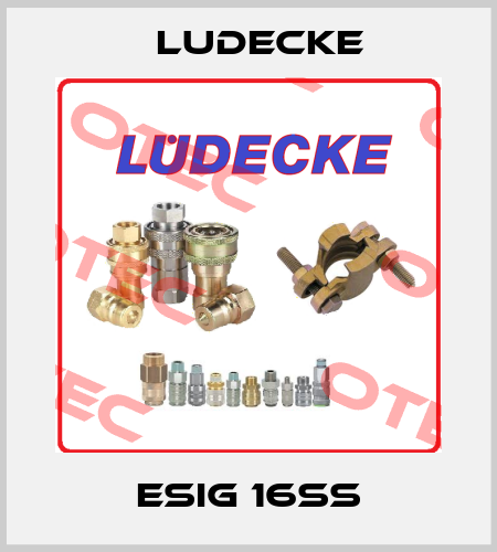 ESIG 16SS Ludecke