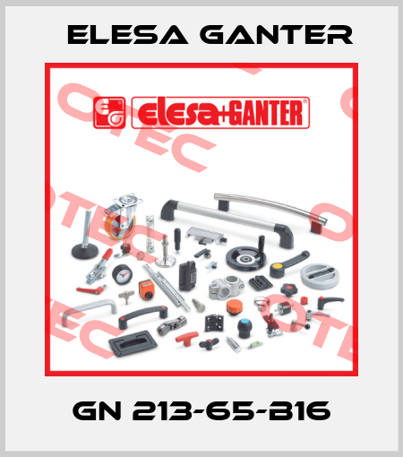 GN 213-65-B16 Elesa Ganter