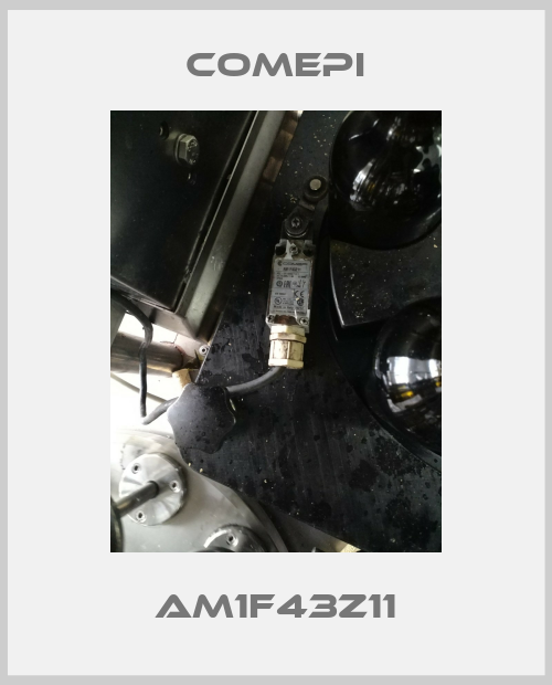 AM1F43Z11-big