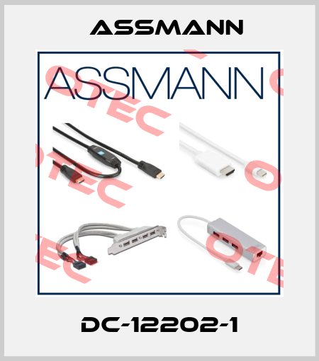 DC-12202-1 Assmann