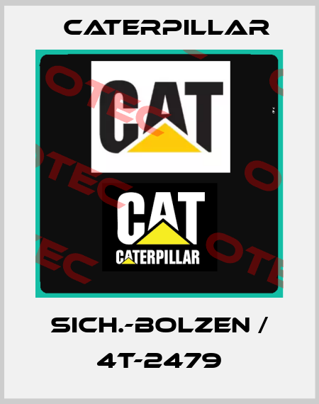 SICH.-BOLZEN / 4T-2479 Caterpillar