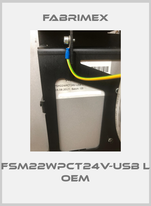 FSM22WPCT24V-USB L OEM-big