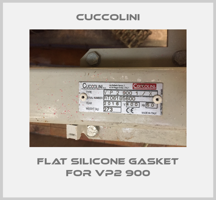 Flat silicone gasket for VP2 900-big
