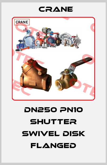 DN250 PN10 shutter swivel disk flanged Crane