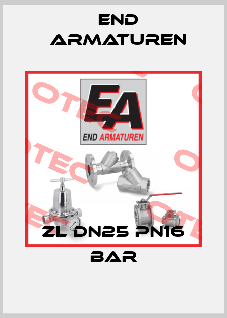 ZL DN25 Pn16 bar End Armaturen