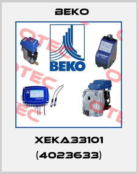 XEKA33101 (4023633)-big
