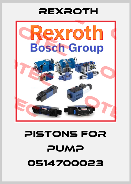 Pistons for pump 0514700023 Rexroth