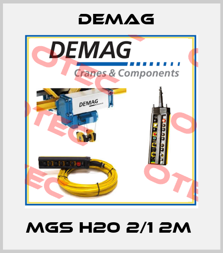 MGS H20 2/1 2m  Demag