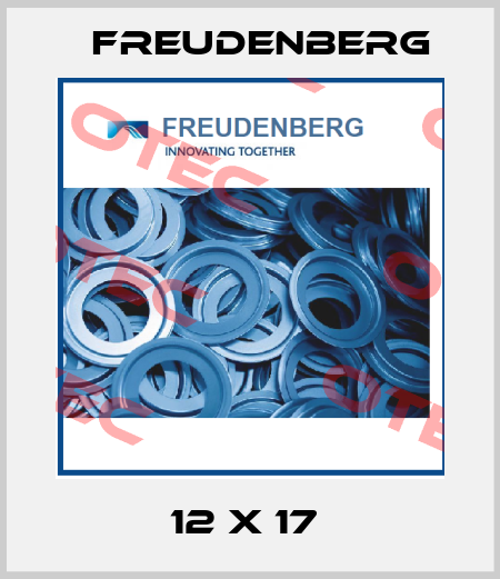 12 X 17  Freudenberg