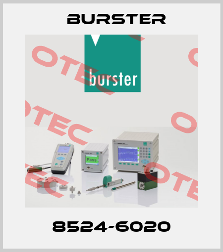 8524-6020 Burster