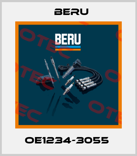 OE1234-3055  Beru