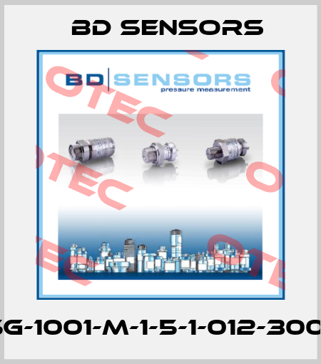 18.605G-1001-M-1-5-1-012-300-1-000 Bd Sensors
