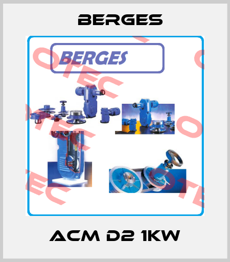 ACM D2 1kW Berges