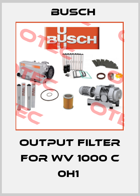 Output filter for WV 1000 C 0H1  Busch