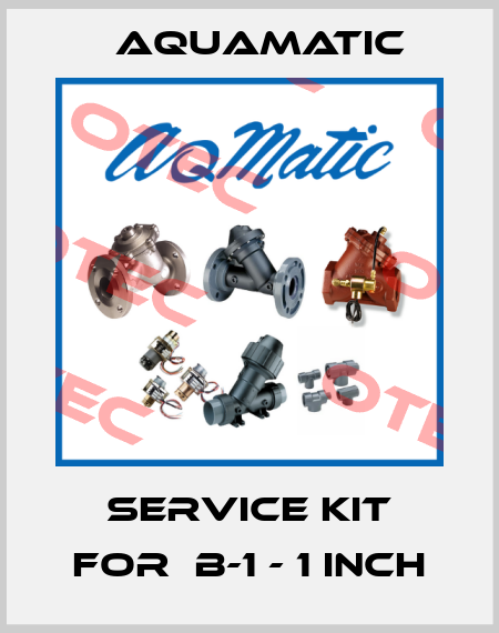 service kit for  B-1 - 1 inch AquaMatic
