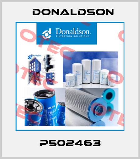 P502463 Donaldson