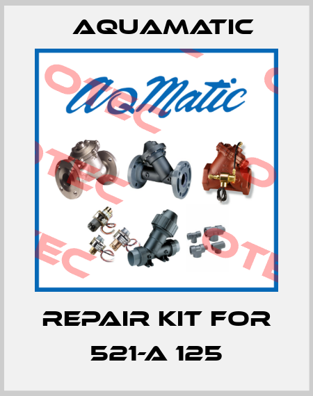 repair kit for 521-A 125 AquaMatic