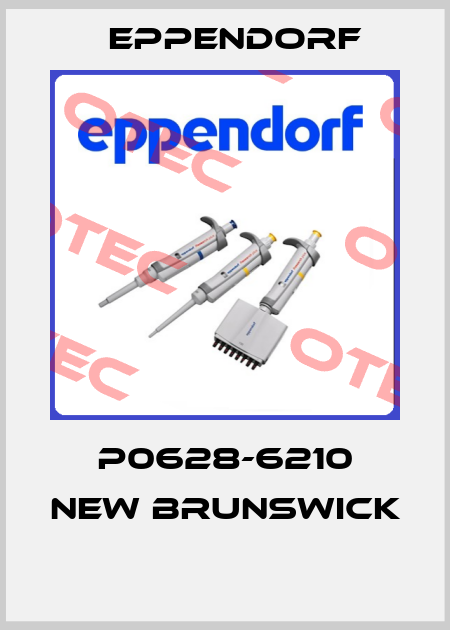 P0628-6210 NEW BRUNSWICK  Eppendorf