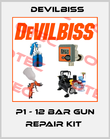 P1 - 12 BAR GUN REPAIR KIT  Devilbiss