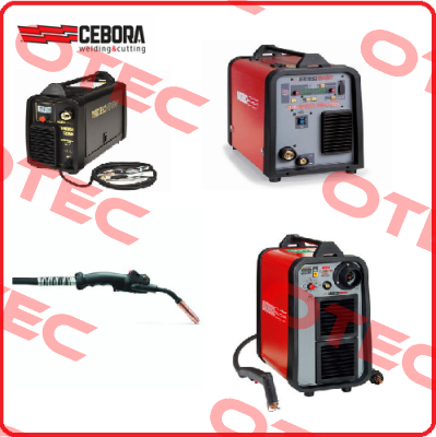 fuse 100 amp for 4745 Cebora