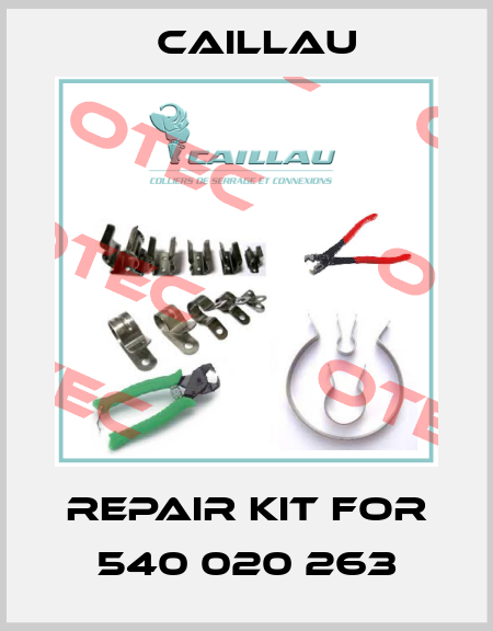 Repair kit for 540 020 263 Caillau