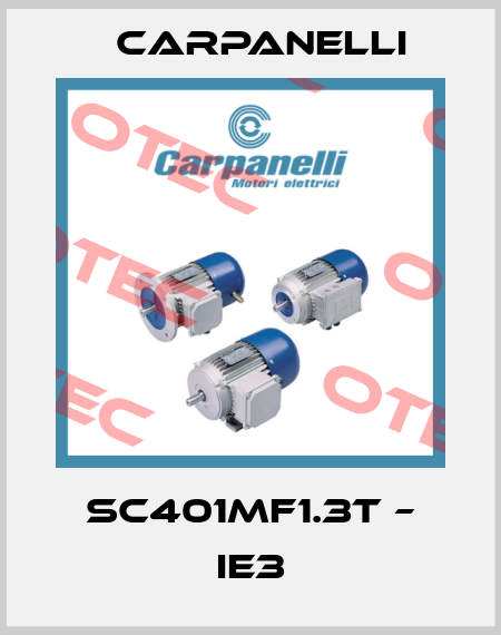 SC401MF1.3T – IE3 Carpanelli