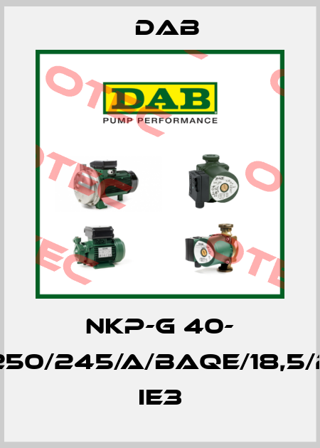 NKP-G 40- 250/245/A/BAQE/18,5/2 IE3 DAB
