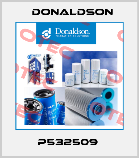 P532509  Donaldson
